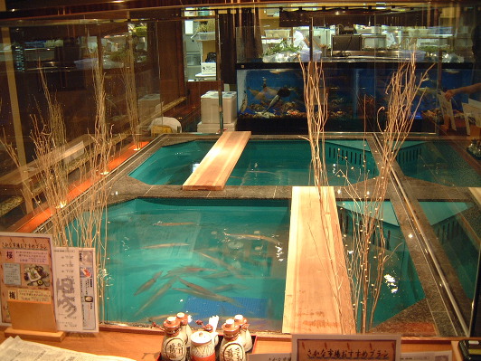活イカ水槽 居酒屋 広島 導入事例 水槽 アクアリウム 水処理施設等の水環境プロデュース