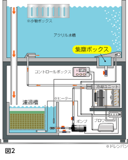 アクリル製活魚水槽「マスター」 - サービス・プロダクト・技術 | 日本サカス株式会社