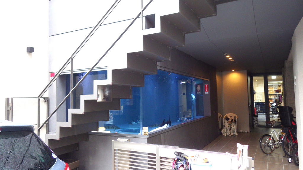 邸宅ビルのエントランスに大型水槽：京都市 - 導入事例 | 日本サカス ...