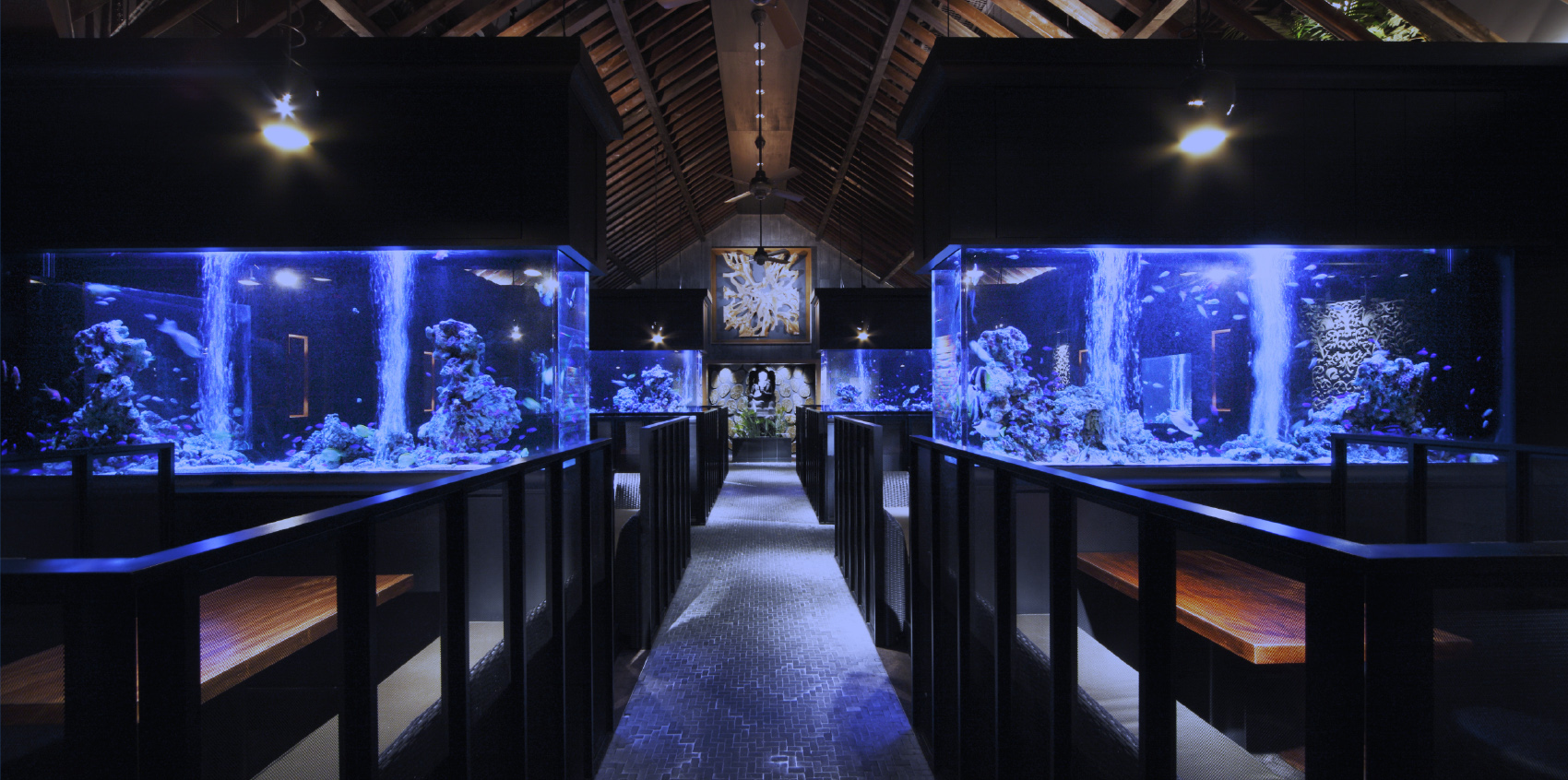 創業50年 水槽製造メーカーならではの技術と信頼【技術・プロダクト】