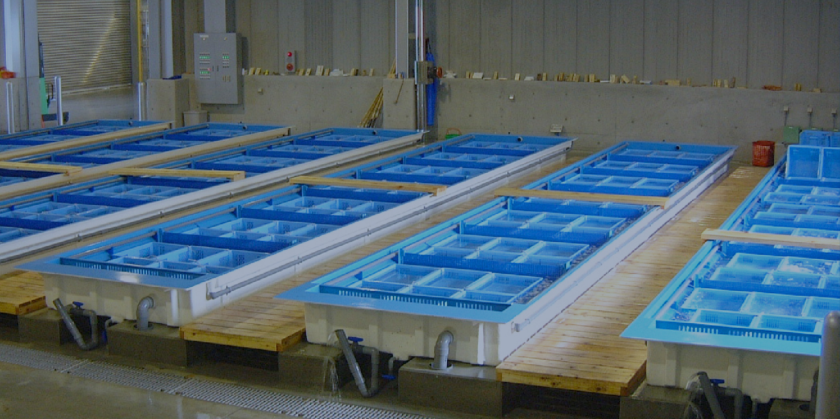 設計
            ・製造・施工 トータルプロデューサー【導入までの流れ】