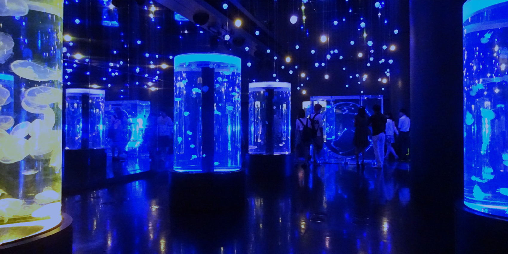 水族館から水産市場設備までの幅広い実績【導入事例】