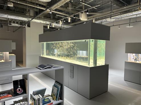 LIBRARY AQUARIUM