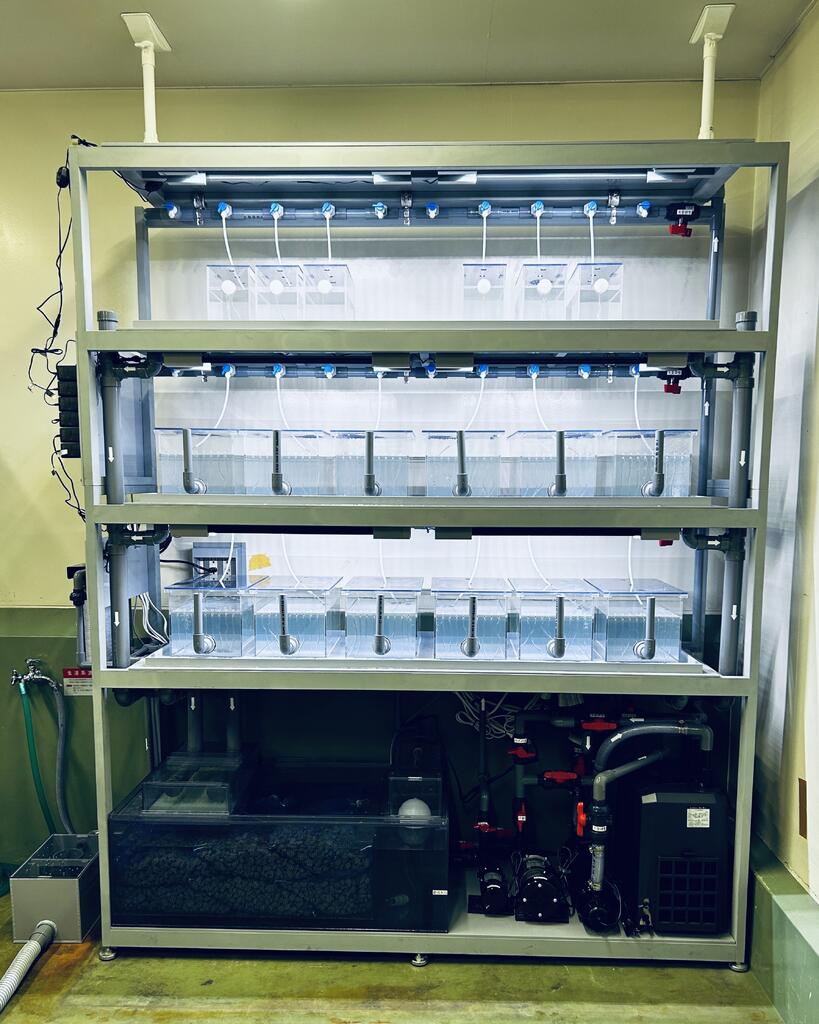 実験用小型魚類飼育システムを正面から見た画像